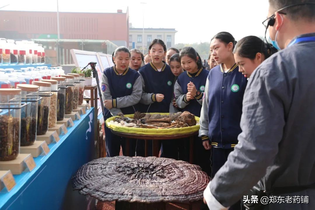 弘扬岐黄文化 感受中医药魅力