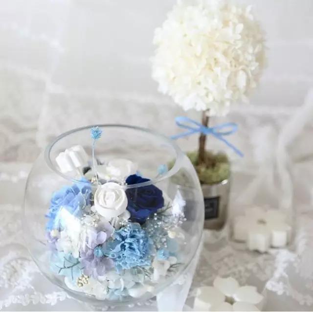 什么是永生花?(科普)