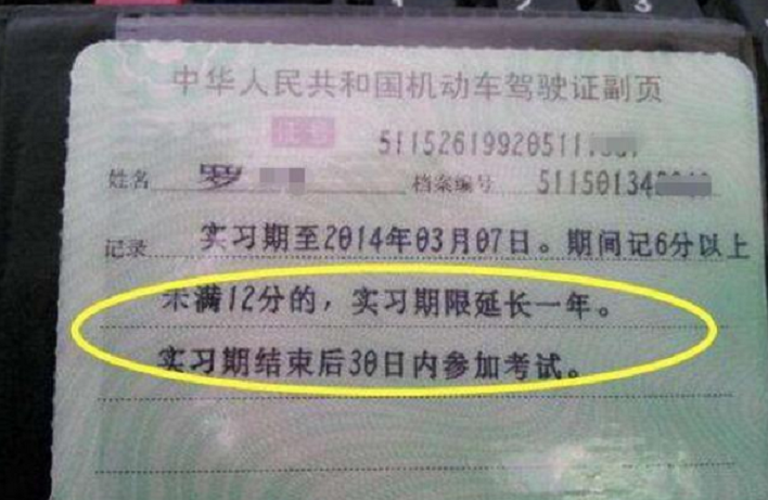 满了一年实习期，驾照的“副页”到底要不要更换？新手要了解