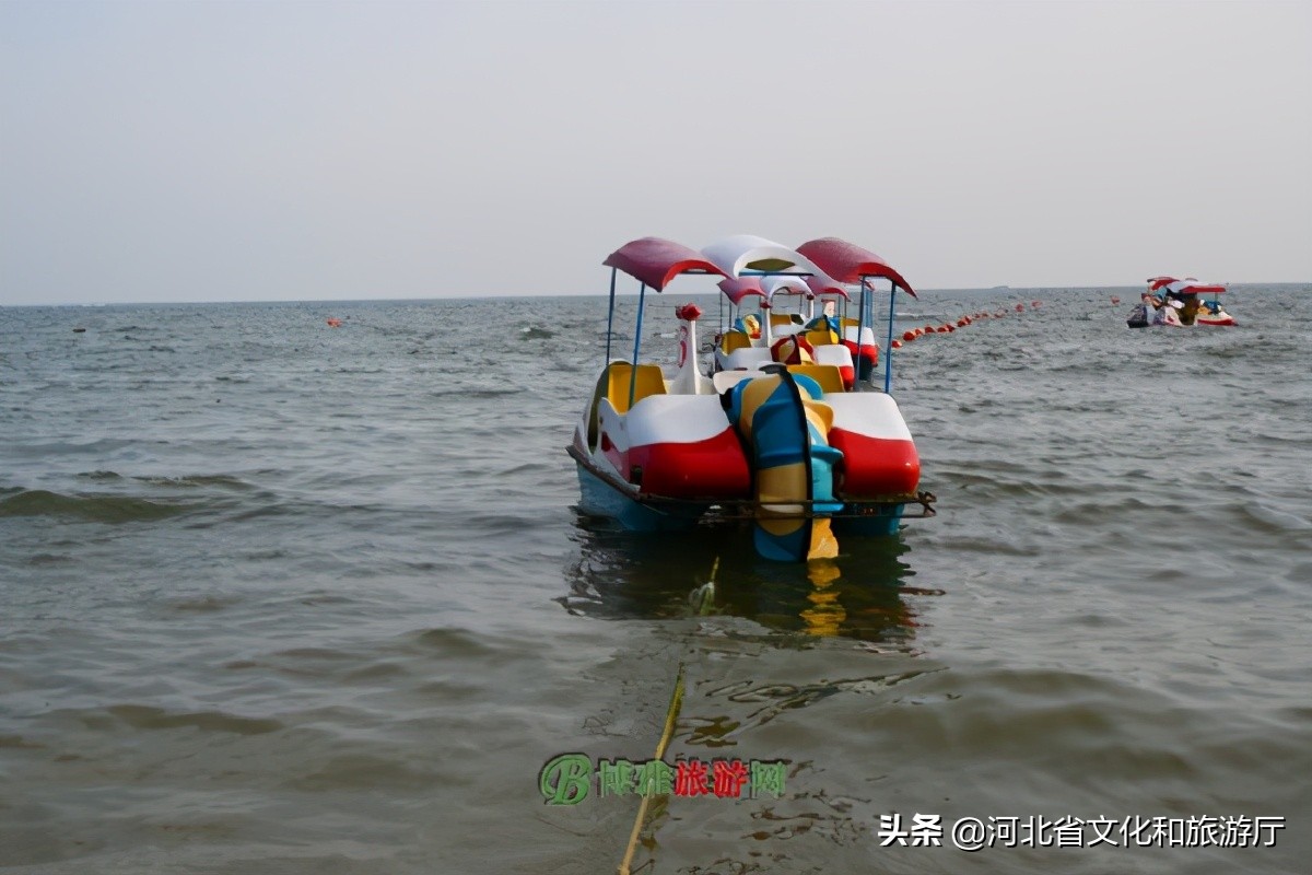 旅游日记一年级北戴河(北戴河一日游作文300字)