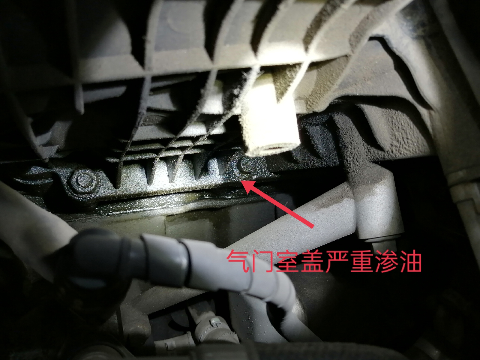 這個故事告訴你答案，購買二手車先驗車還是先交錢？