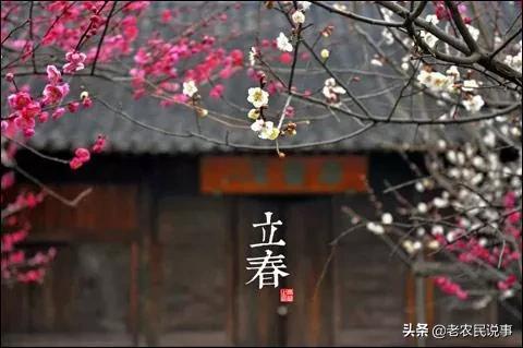 立春將至，農村老人說：立春要躲春，什麽是躲春？如何躲春？