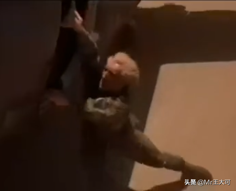 回望经典：《野鹅敢死队》铁与血的回忆