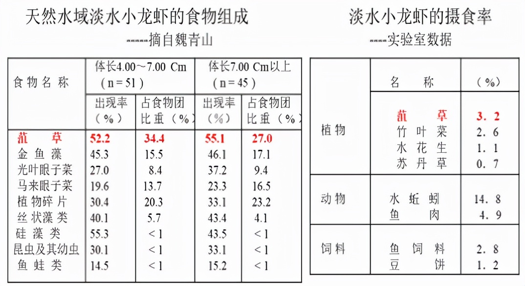 “蝦多少，看水草”舒新亞：淺析小龍蝦養(yǎng)殖中的水生植物及其作用