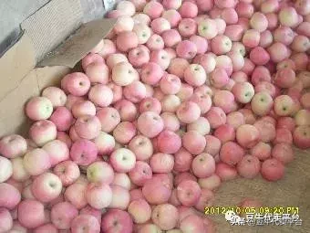 水果贵,因为“代办”把钱都赚了?真相在这,你有知情权...