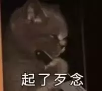 00后女友花400多给爱犬美容,男友花30元理发却嫌贵?