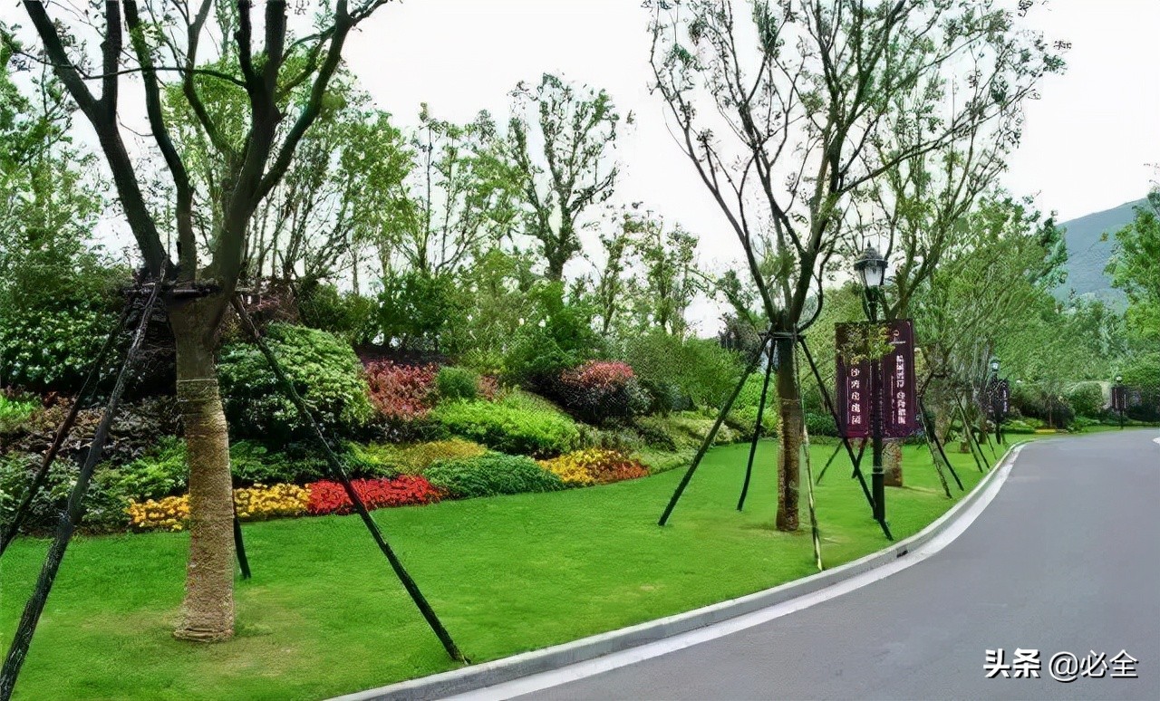 园林景观植物配置集锦