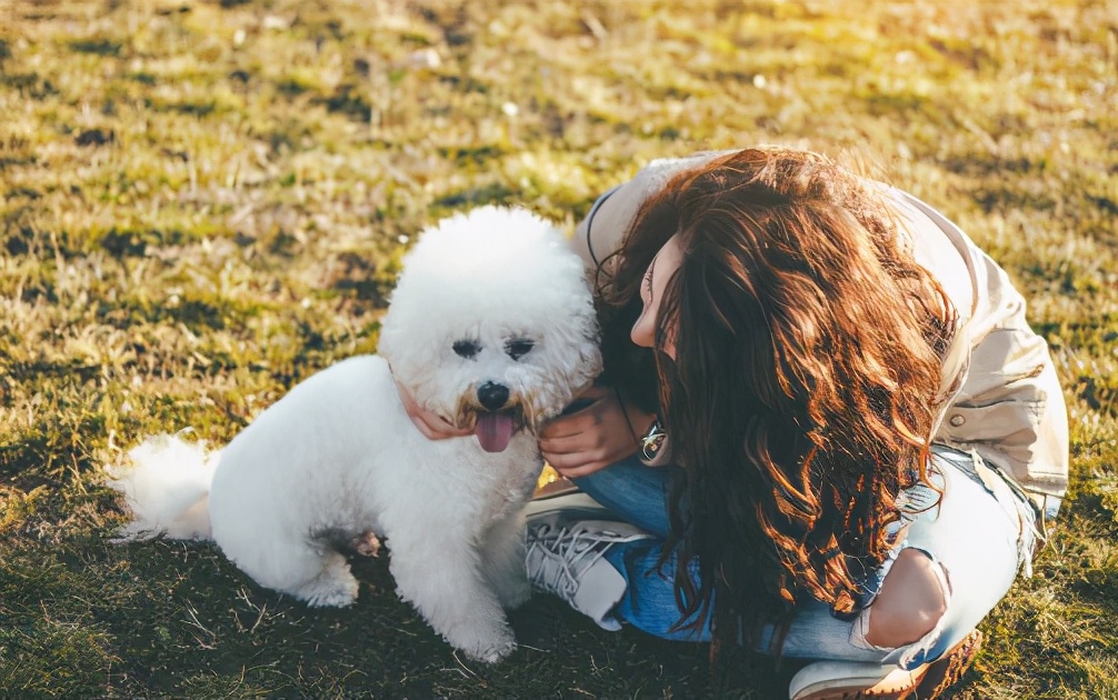 新手养比熊犬，该注意什么？