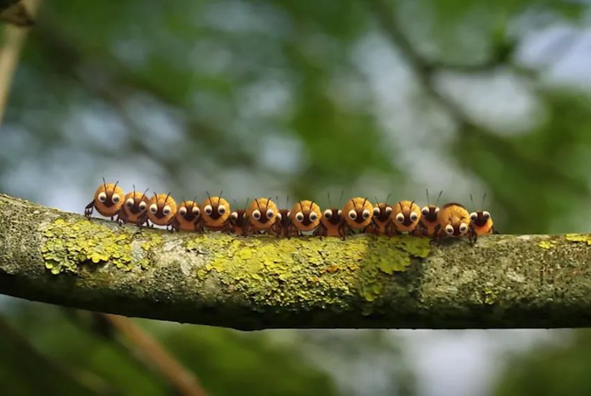 赶快收藏 最适合孩子看的13部动画片大盘点