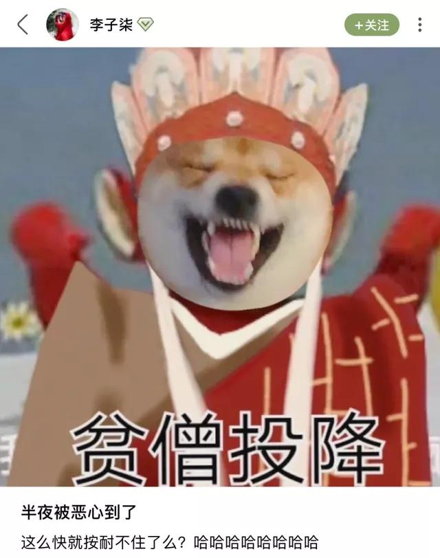 透过李子柒事件，短视频运营必须注意的这些事