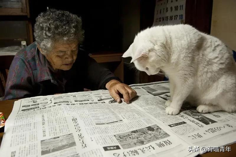 谢谢，福丸！再见，福丸