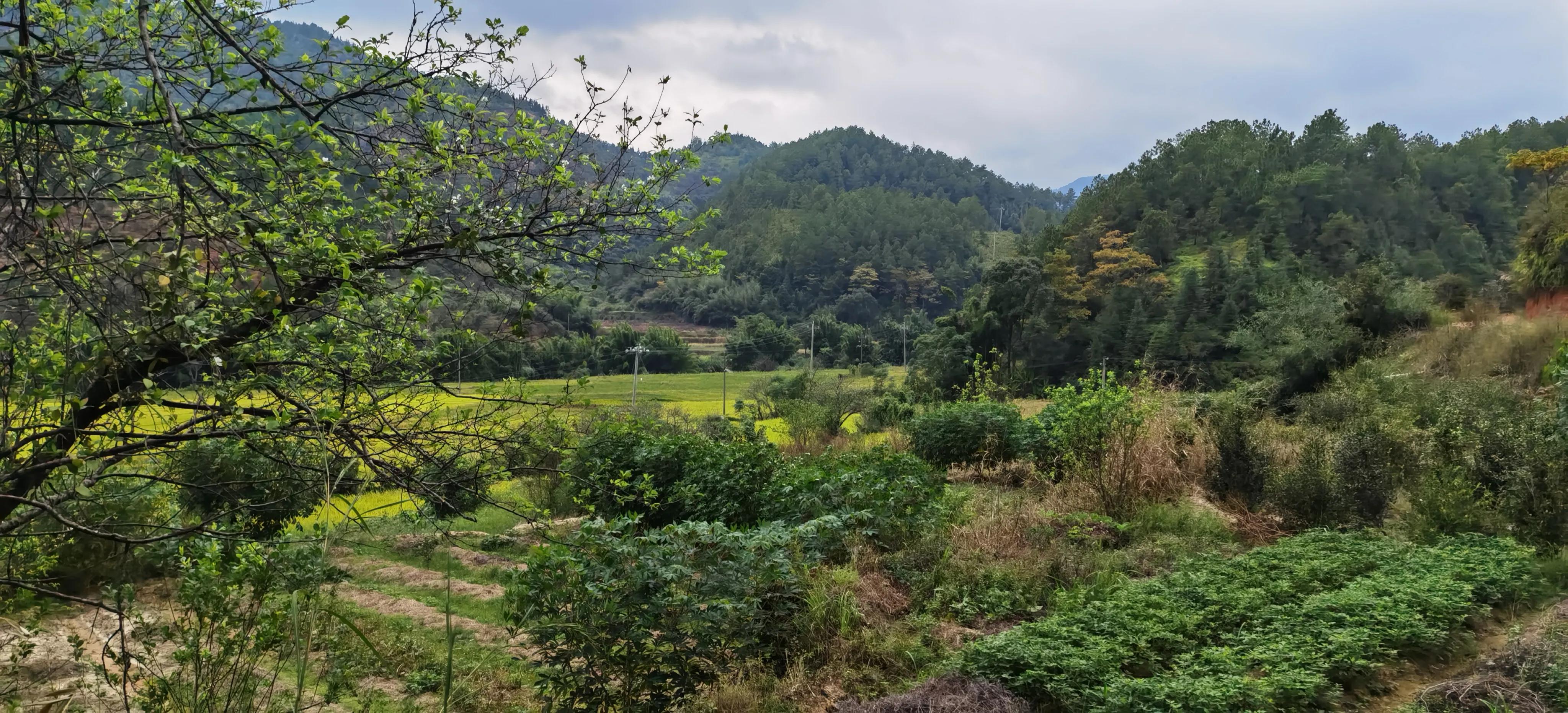 岁岁重阳 今又重阳 一一沙地之行回望逝去的青春岁月