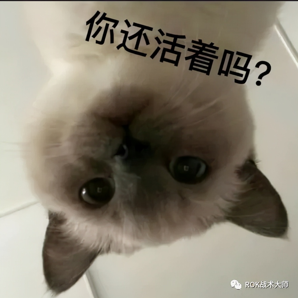 万国觉醒丨自身兵力对受到伤害的影响