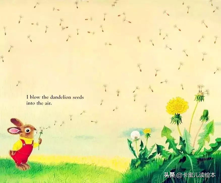 英文有声绘本《I am a bunny》我是一只小兔子