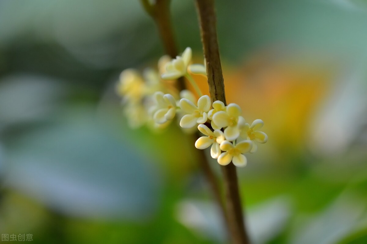 工业废渣制备预应力孔道压浆料技术