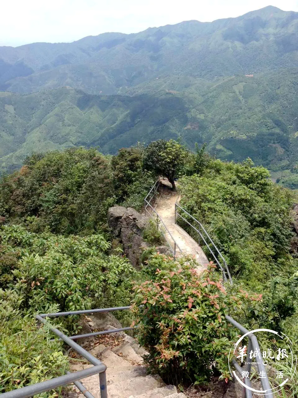 广东旅游景点(广东旅游景点攻略) 广东旅游景点(广东旅游景点攻略)