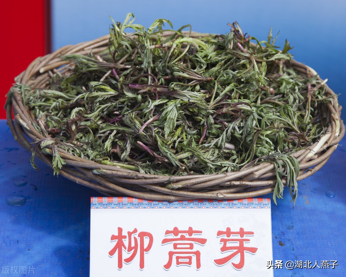 65种野菜图片大全，教你认识不同的野菜和吃法，你想要的野菜都有