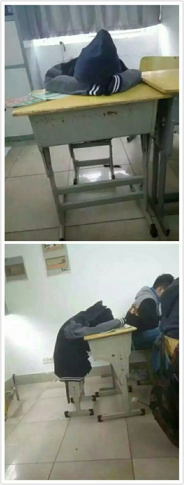 爆笑gif：狗大妈，你的菜是要钱呢，还是用狗粮换啊