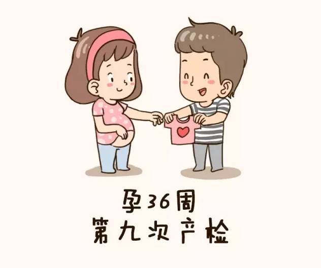 怀孕三十六周胎儿图，怀孕36周吃什么、做什么检查？