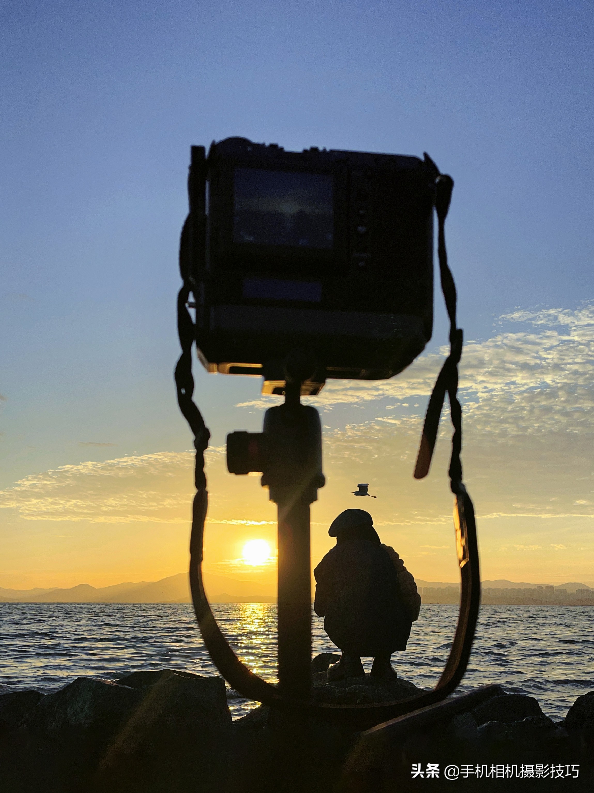 生活照指什么照片免费分享