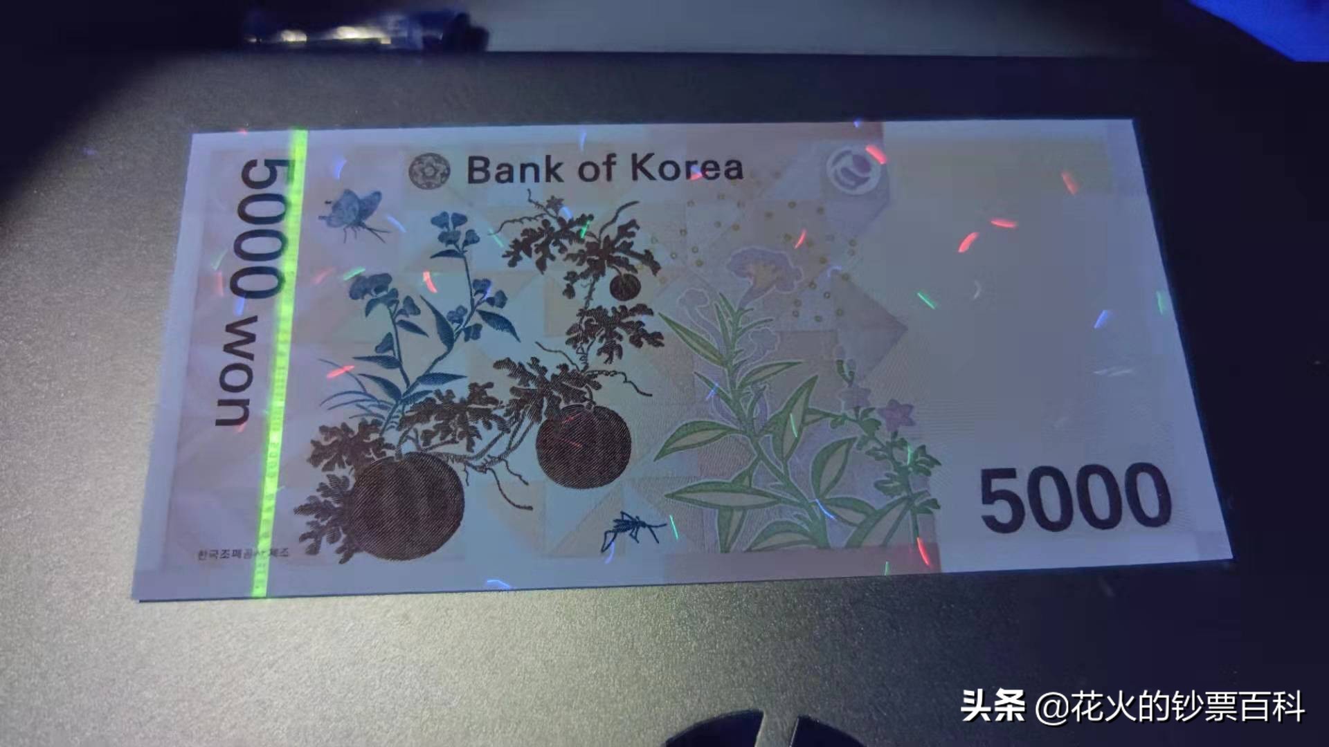 五千韩币是多少人民币（1万韩元兑多少人民币）