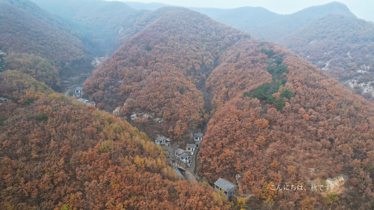 山海远阔，人间烟火，泡汤和美食，才是营口旅行的正确打开方式