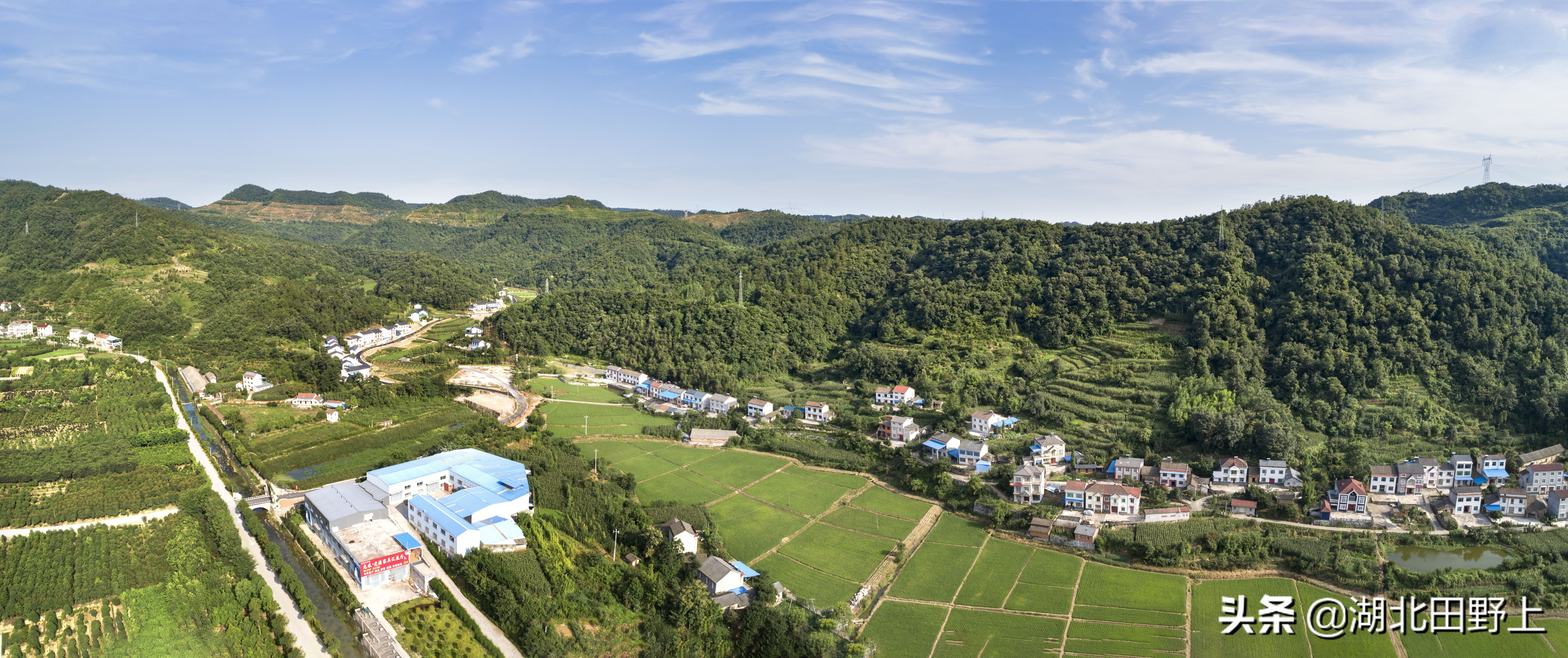 走进一个农旅产业大村——夷陵区黄花镇军田坝村