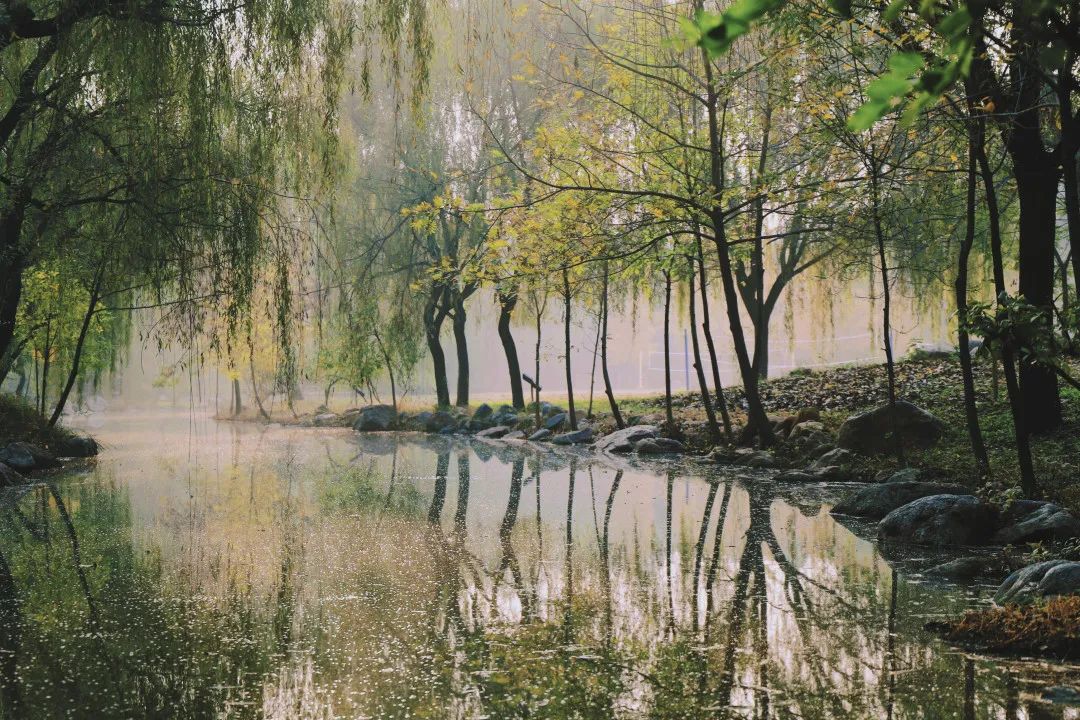 恒德秋色 | 数树深红出浅黄