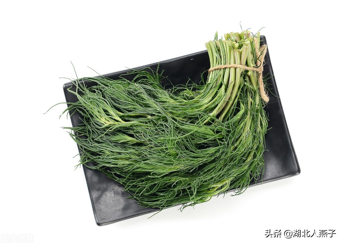 65种野菜图片大全，教你认识不同的野菜和吃法，你想要的野菜都有