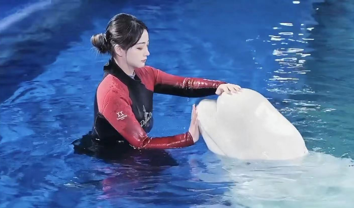 2021年11位离世的网红，2人猝死3人患癌4人突遭意外，都让人遗憾