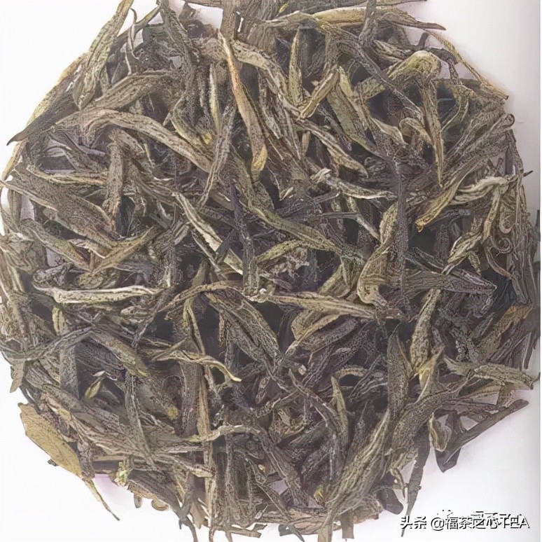 茶百科 | 中國茶葉分類大綱（收藏版）