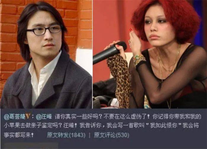 18岁给汪峰生子，被弃后连孩子都见不到，葛荟婕为何落到如此下场