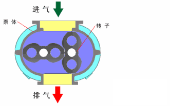 20種泵的性能差異分析，最直觀的選型經(jīng)驗指導(dǎo)