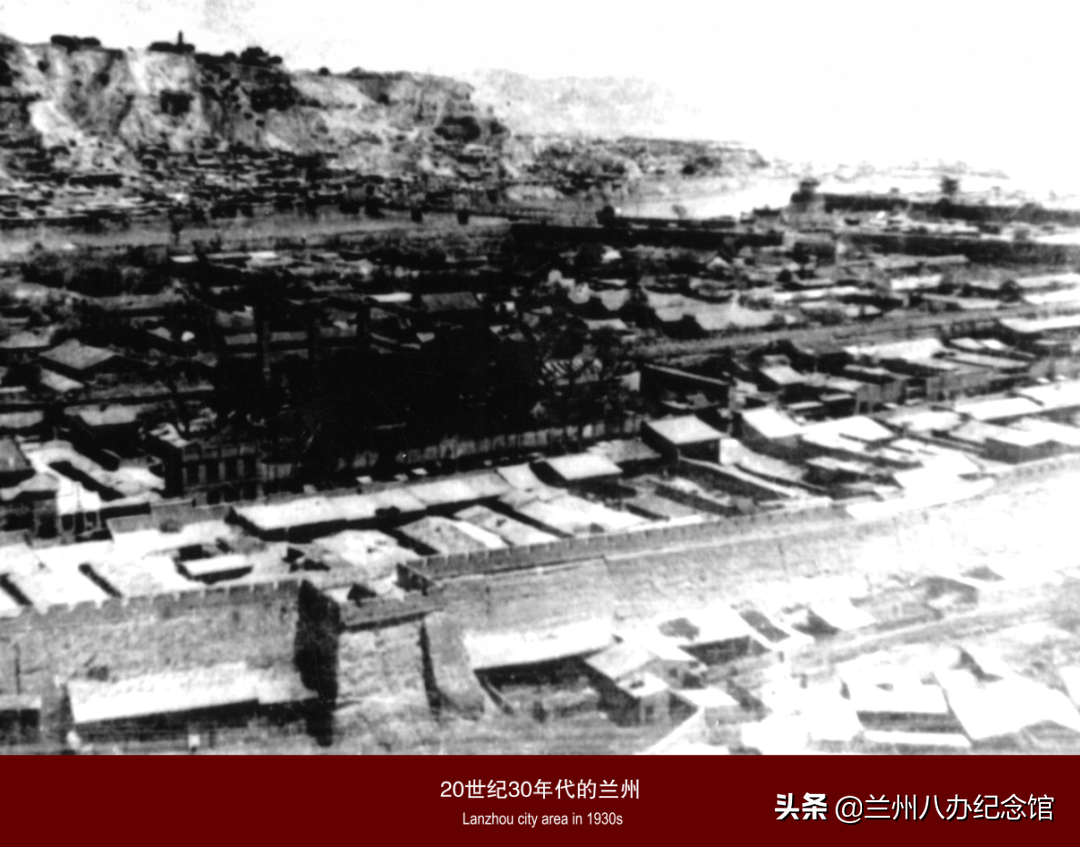 在线观展 