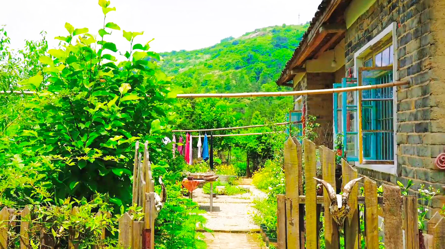 武汉新洲区有哪些旅游景点(武汉市新洲区双柳旅游景点)