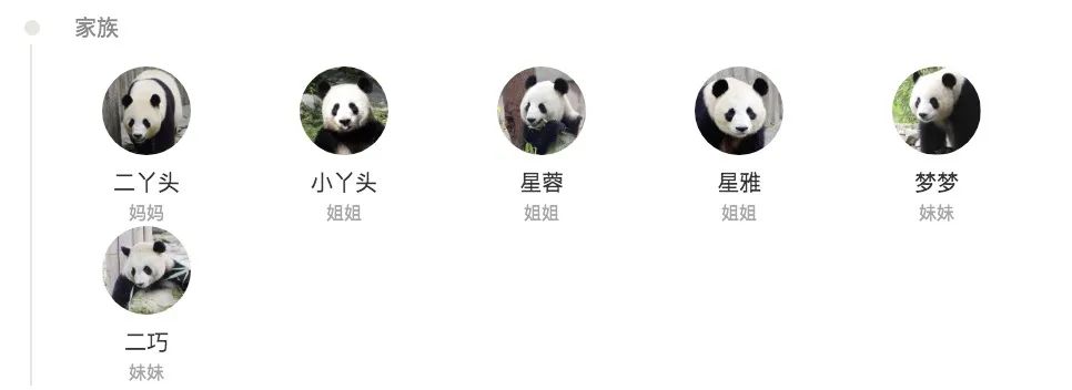 猛男必备礼物（生日礼物 男）