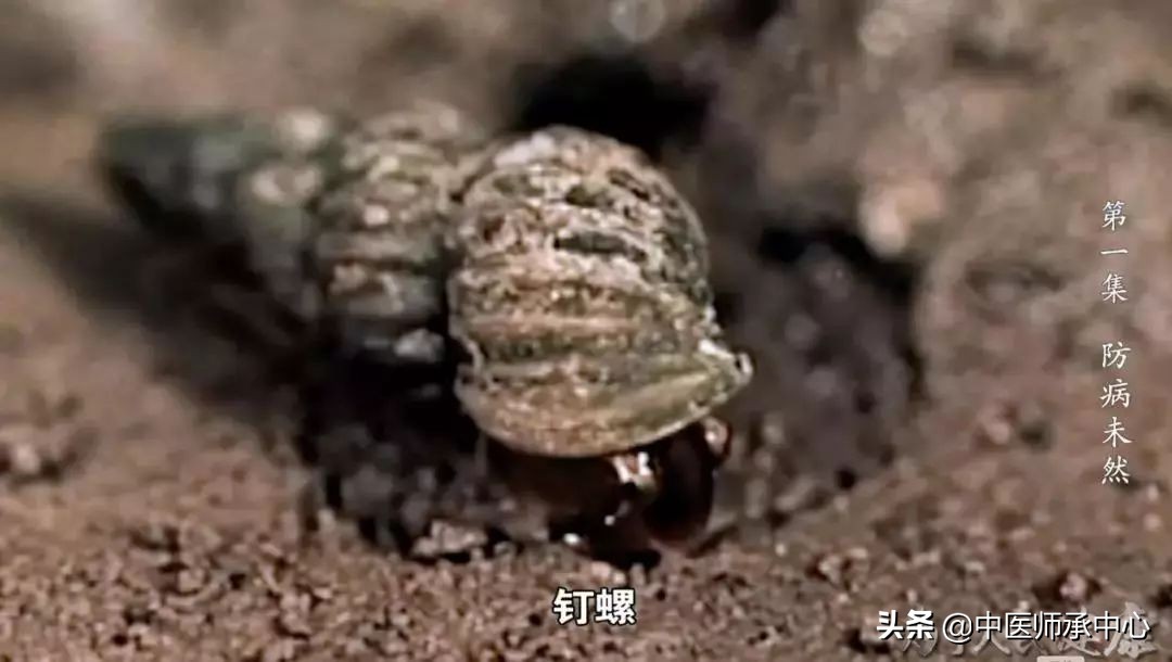 下个70年，中医药能为健康中国做什么？