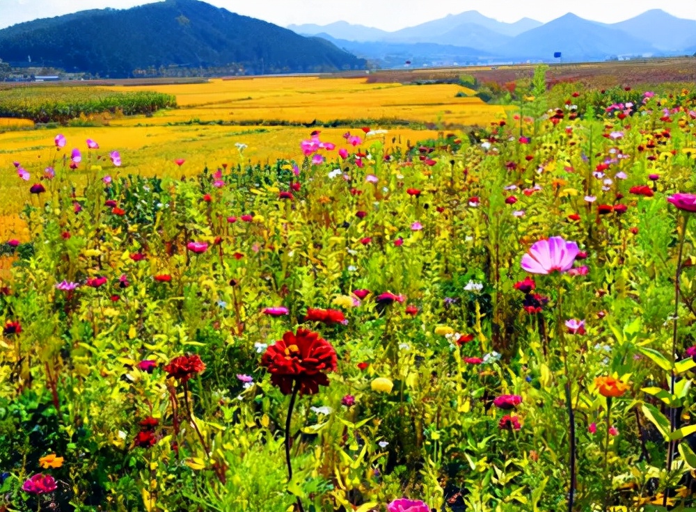 辽宁旅游：抚顺匆匆行散记（图）