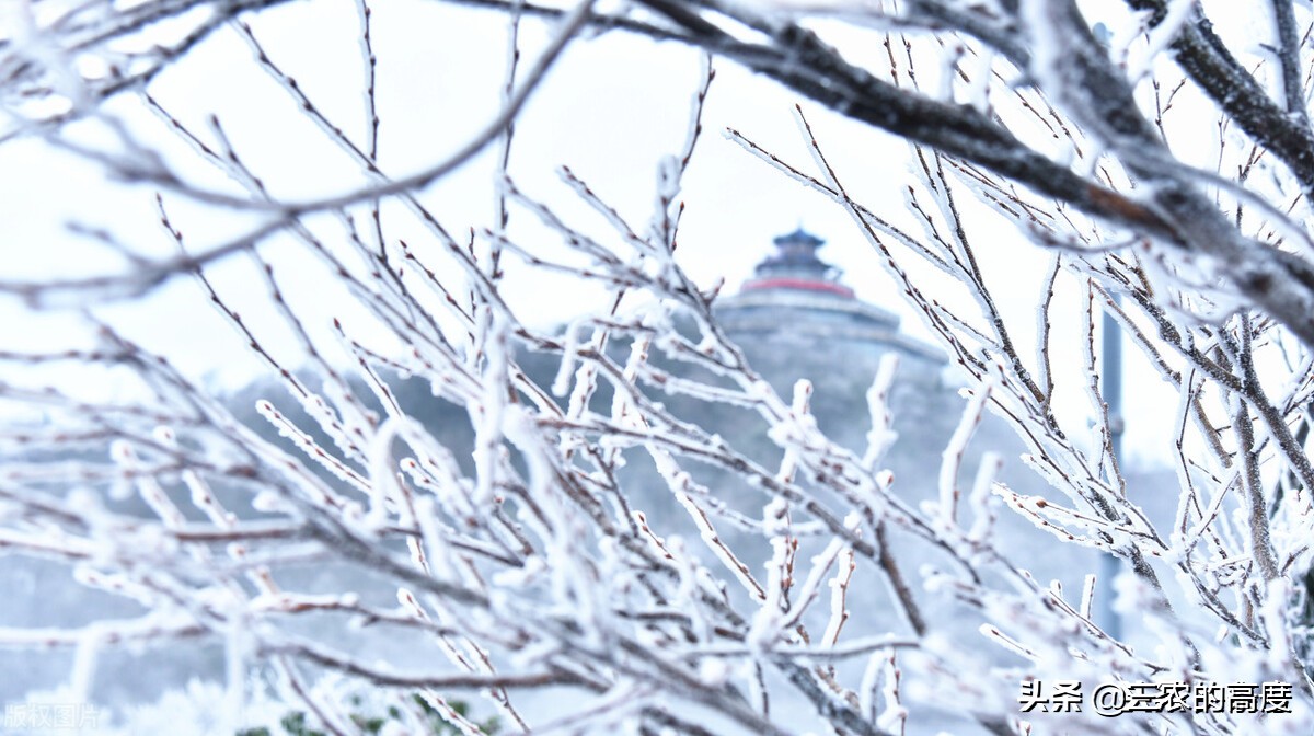 今日霜降，今年冬天雨雪多吗？看霜降节气的谚语怎么预兆