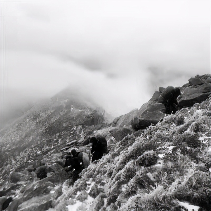 17名登山队员集体遇难，7年后发现登山日记，记录着诡异的过程