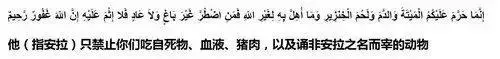 穆斯林为什么不吃猪肉的传说原来是这样的