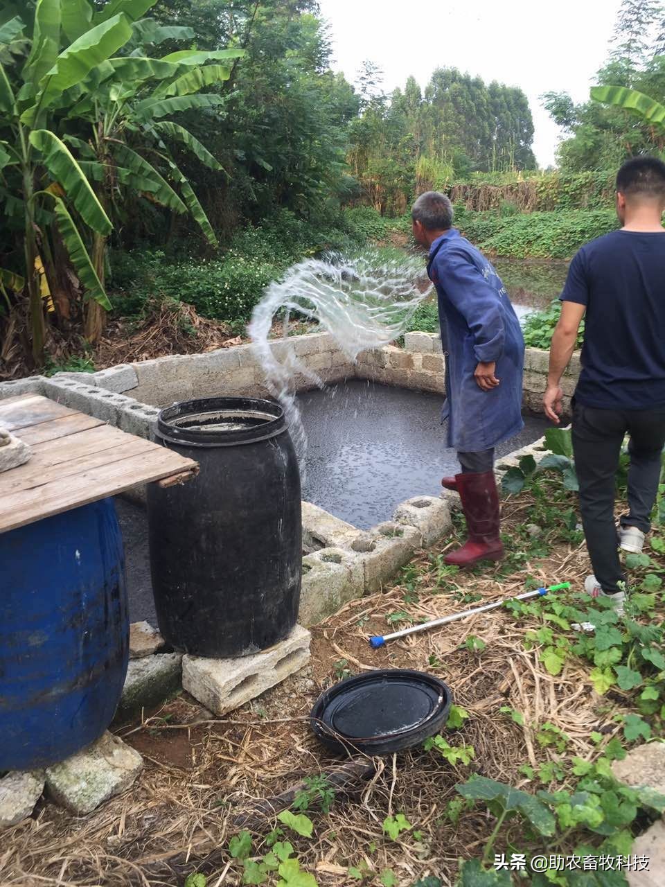 沼液快速发酵除臭变成液态有机肥技术，每立方处理成本1元左右