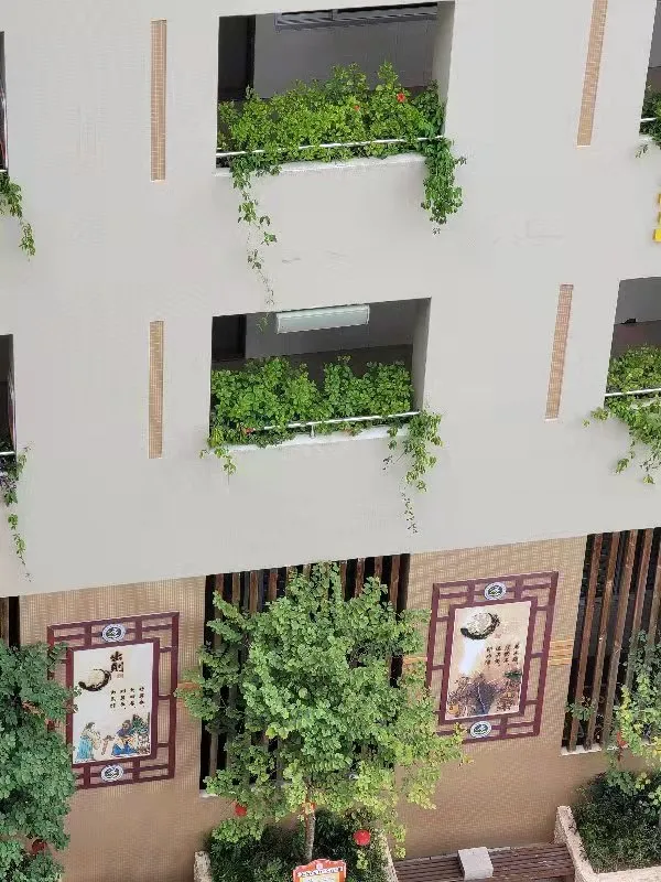 点赞！丰泽这所学校深耕细作，让中医药文化在校园中扎根绽放