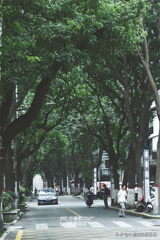 陕西广播电视大学（西安城墙下烟火老街）
