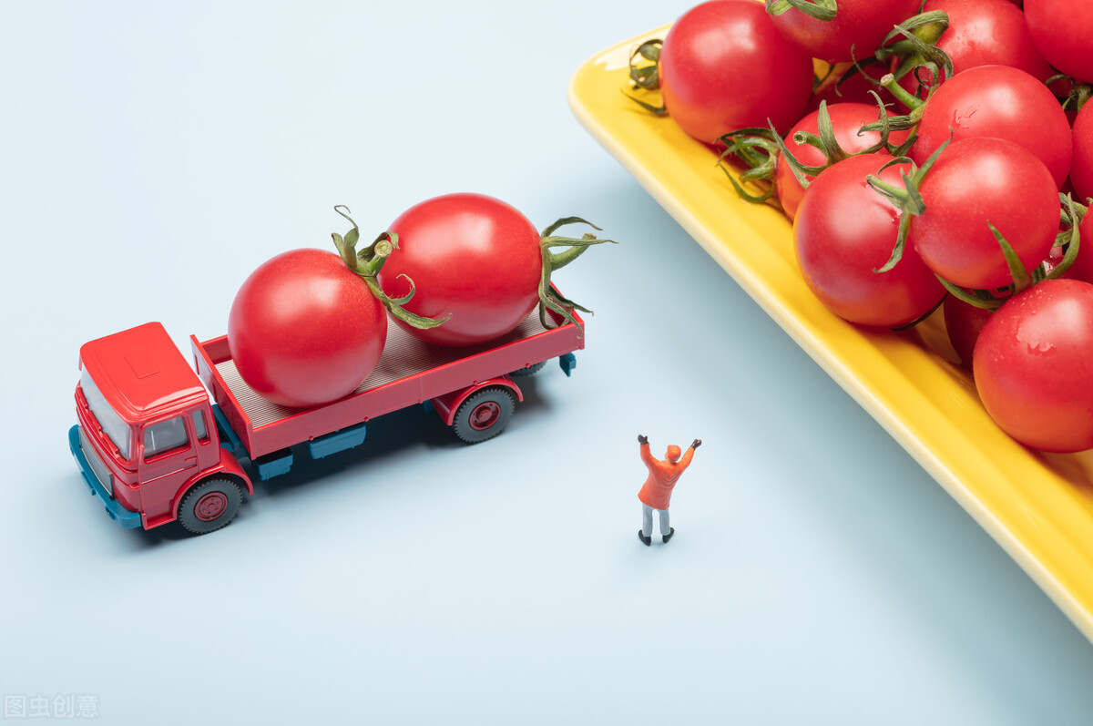 西红柿为什么没有以前好吃了？科研人员历时4年终于发现问题关键