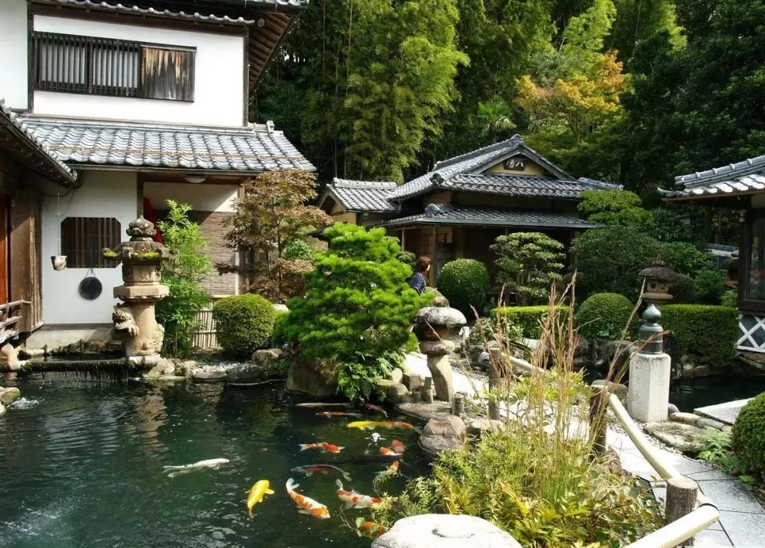 花园只有造个锦鲤鱼池，才能堪称最美庭院