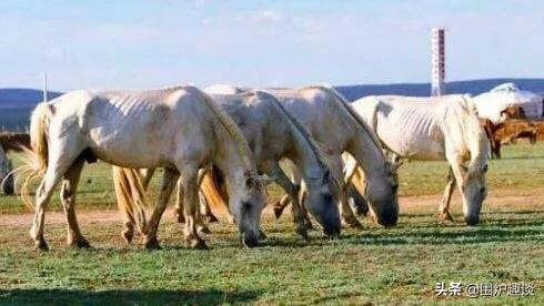 喝酒的“划拳辞令”知多少？“五魁首”、“八匹马”又有啥典故？