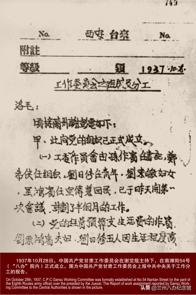 在线观展 