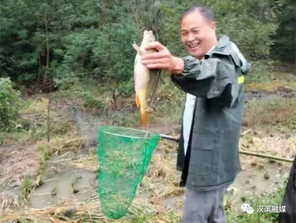 打卡田心社区 体验稻鱼共生的丰收喜悦