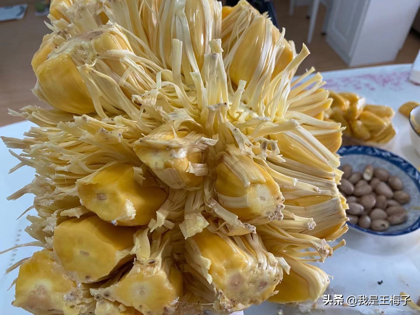5年前北方人很少吃菠萝蜜，现在不是稀罕物，鉴别成熟度看4点
